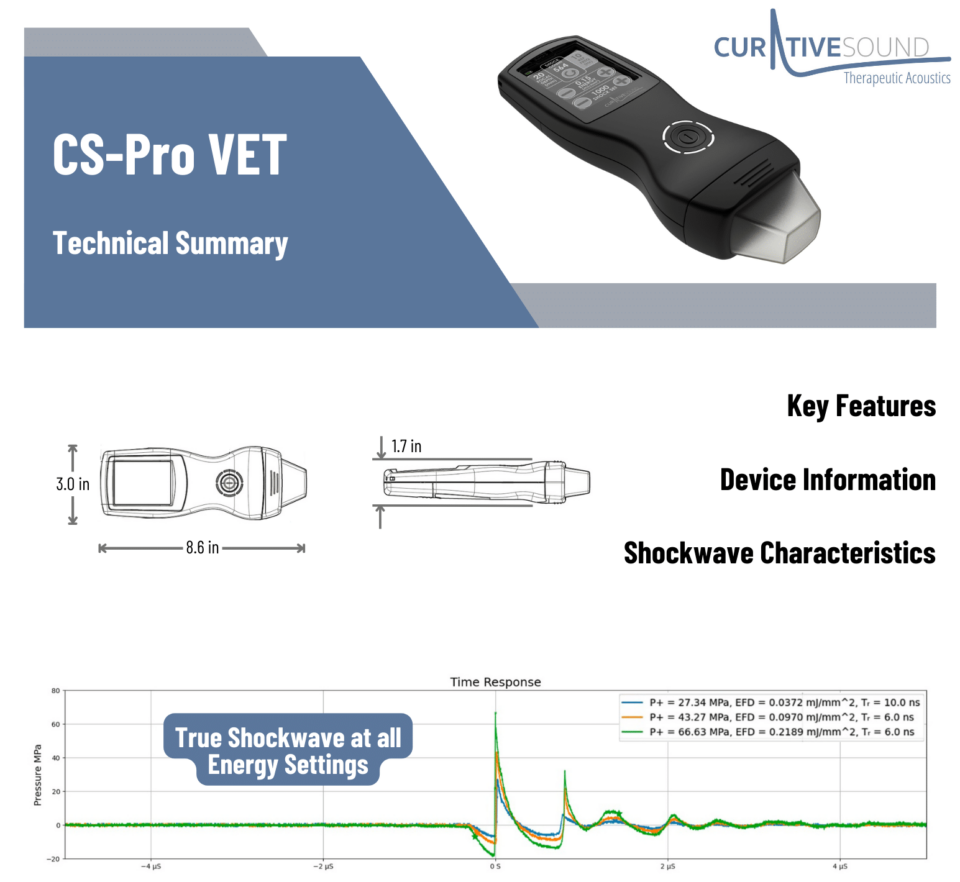 Technical Summary for CS Pro VET