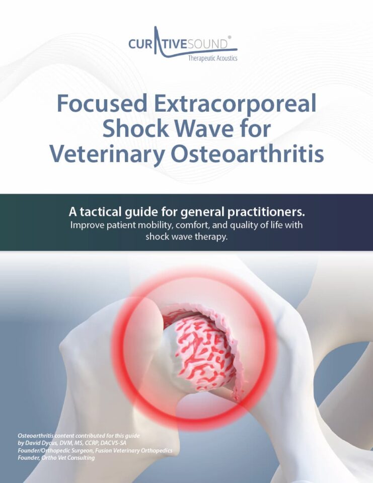 Rethinking Osteoarthritis Diagnosis Staging and Multimodal Care thumb