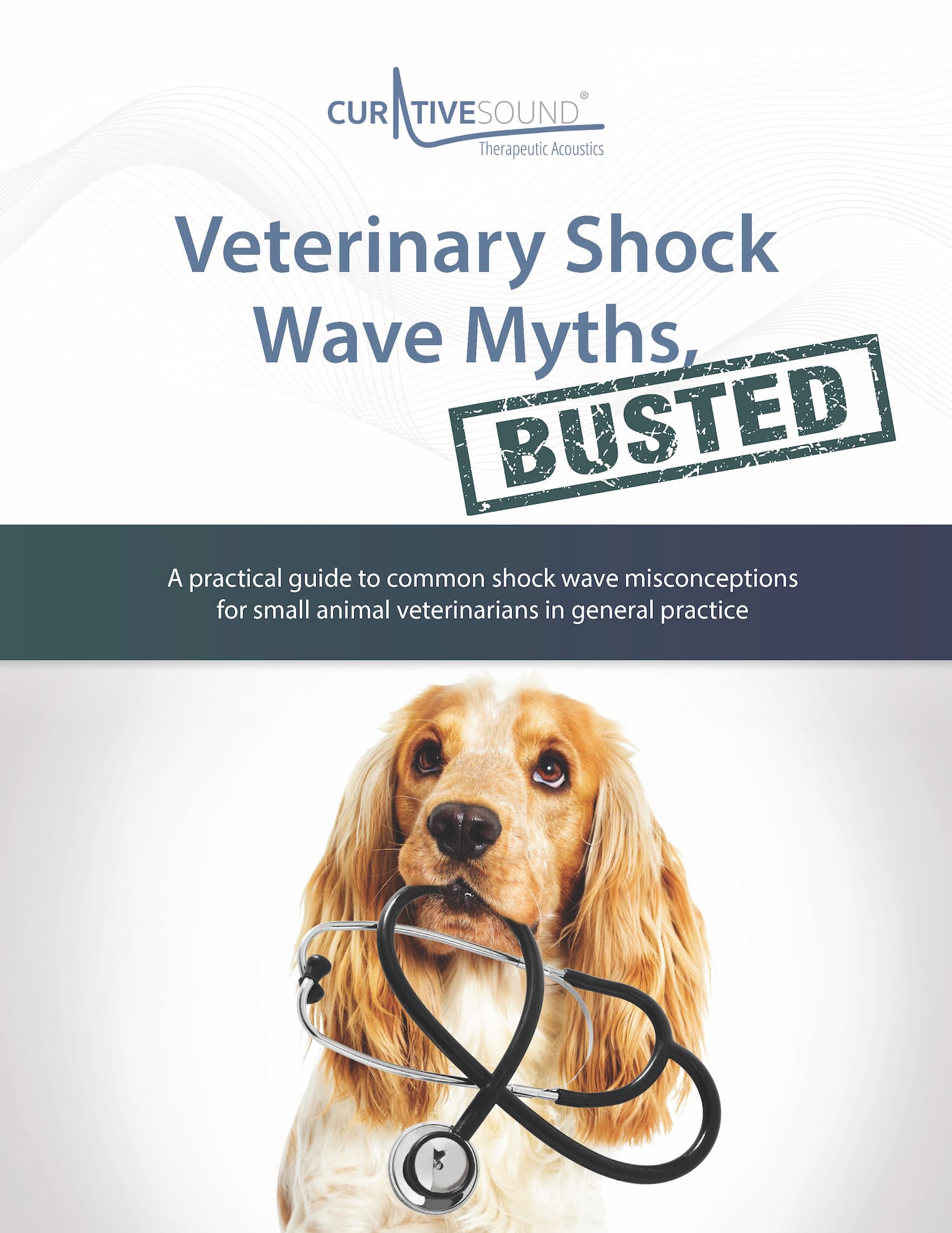 Veterinary Shock Wave Myths Busted cover